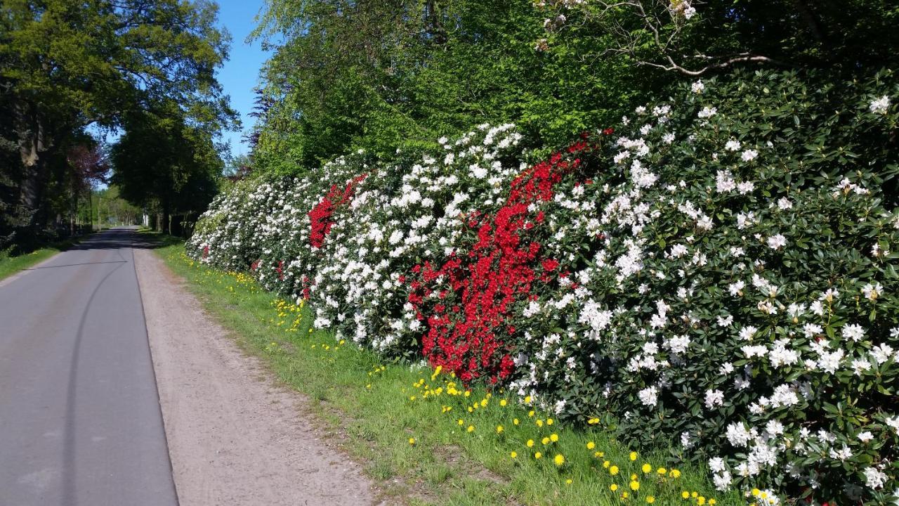 Ferienwohnung Morgensonne Westerstede Zewnętrze zdjęcie
