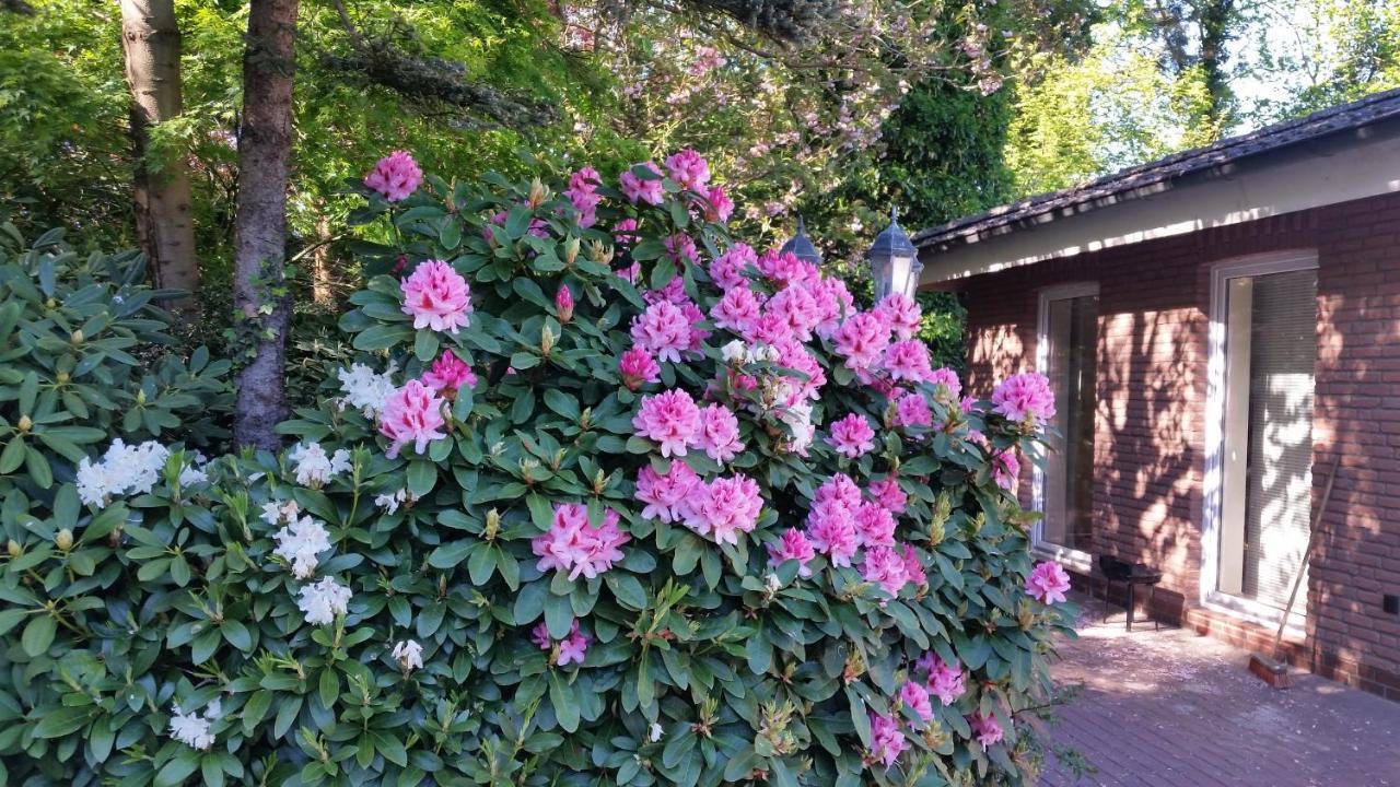 Ferienwohnung Morgensonne Westerstede Zewnętrze zdjęcie