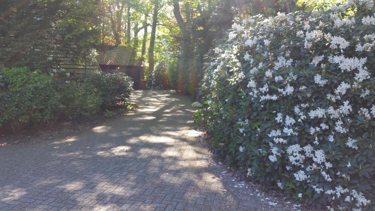Ferienwohnung Morgensonne Westerstede Zewnętrze zdjęcie