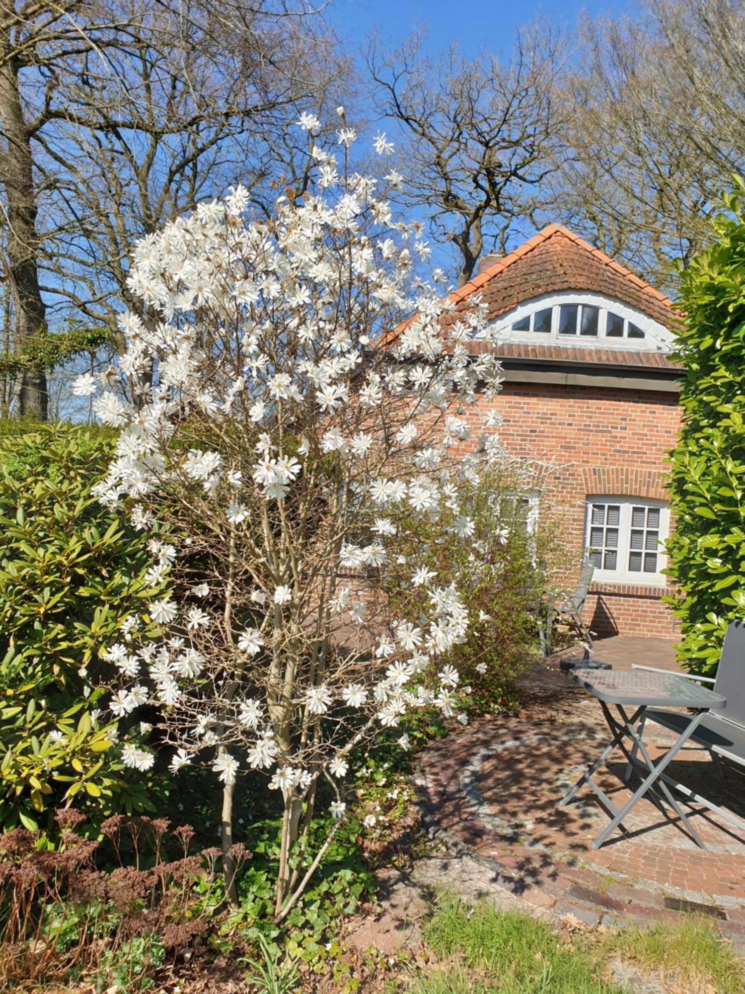 Ferienwohnung Morgensonne Westerstede Zewnętrze zdjęcie